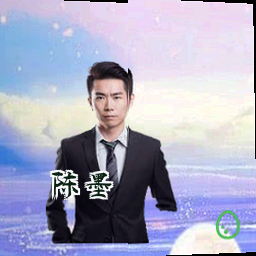 陈墨